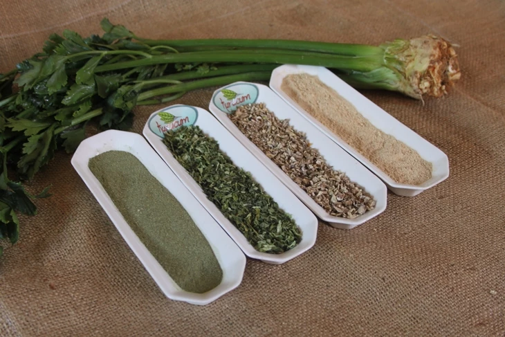 مسحوق جذر الكرفس عبوات جاهزة للتصدير من Kurucum Food، إسبرطة