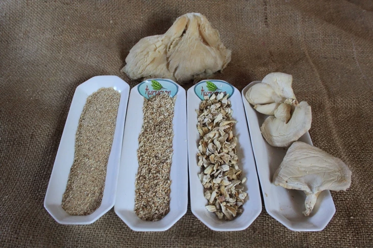فطر المحار (Pleurotus) المجفف يُورَّد بكميات كبيرة لمصنّعي الأغذية والموزّعين