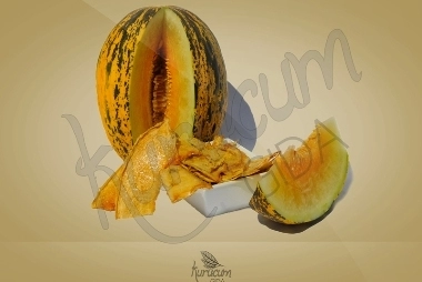 Getrocknete Melone