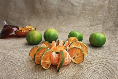 Getrocknete Mandarine