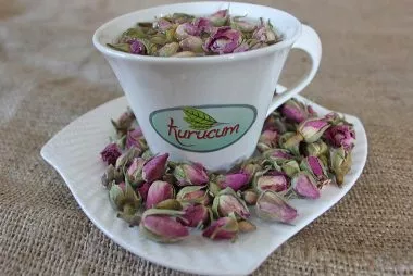 bouton de rose, rose séchée