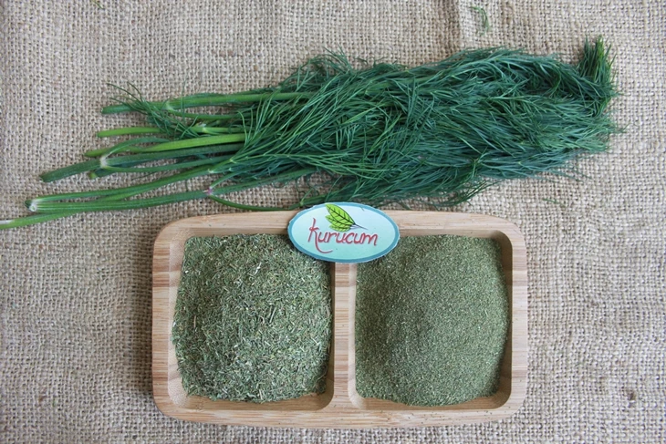 Aneth séché fourni en vrac aux fabricants et distributeurs de produits alimentaires