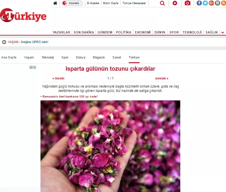 Türkiye Gazetesi News – Kurucum Food