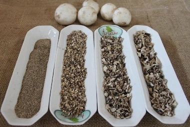 Dried mushroom – mushroom dried