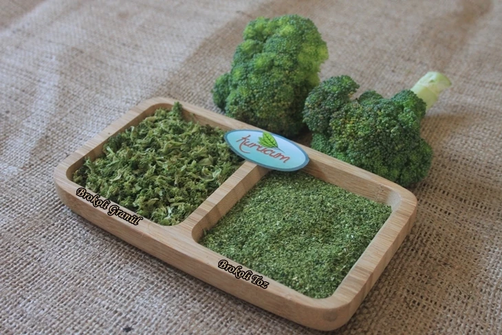 Broccoli Powder in bulk packaging for wholesale buyers