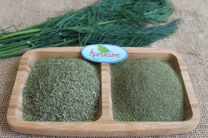 Dill Powder for industrial food production and private-label orders