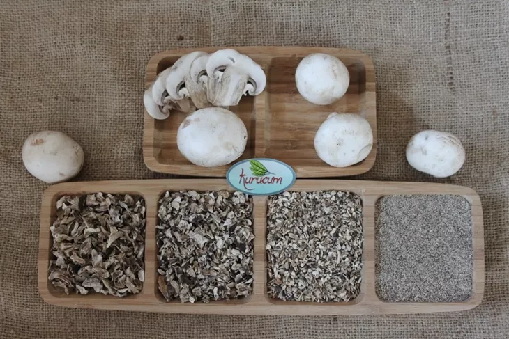 dried button mushroom-5