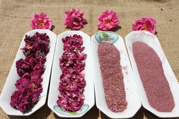 dried rose - rose petals-6