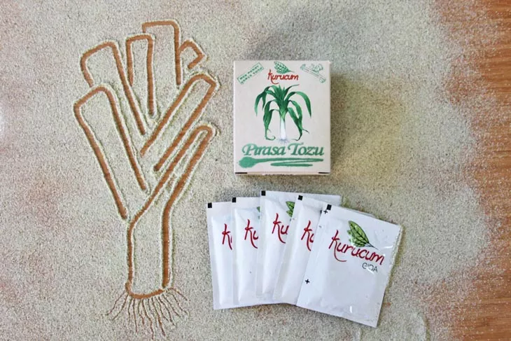 Leek Powder supplied in bulk to food manufacturers and distributors
