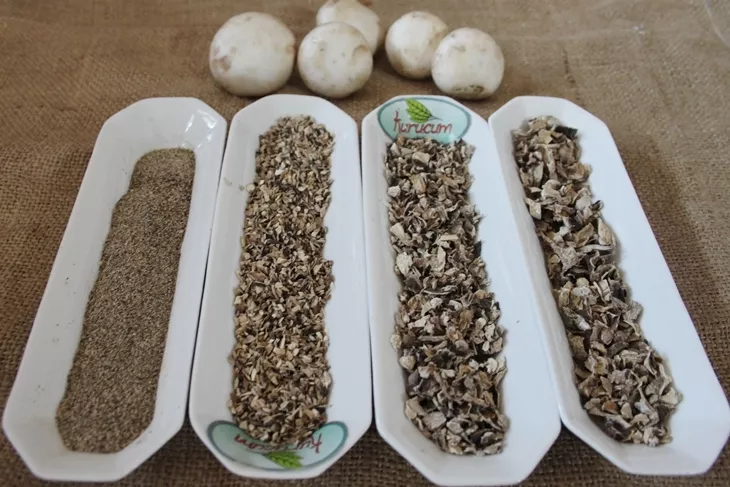 dried mushroom powder-4