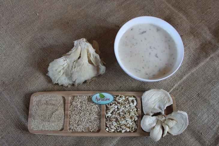 Dried Oyster (Leaf) Mushroom export-ready packs from Kurucum Food, Isparta