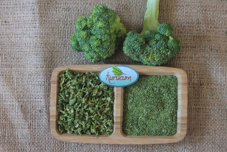 ברוקולי מיובש מסופק בכמות גדולה ליצרני מזון ולמפיצים