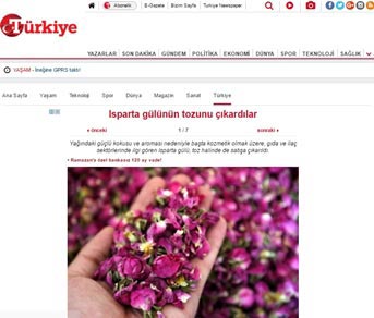 Turkiye gazetesi haber