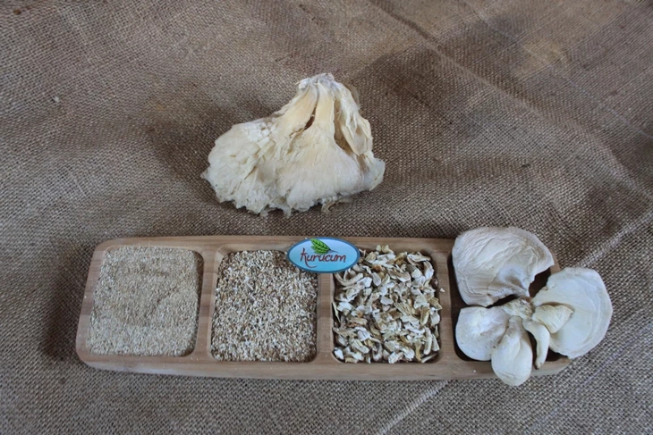 kurutulmuş istiridye mantarı satışı
