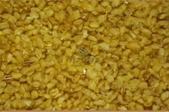 Ön pişirilmiş buğday