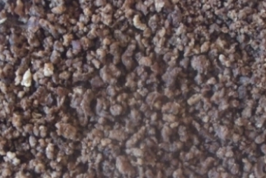 Manzo precotto