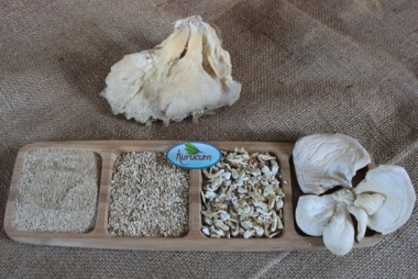 suszone grysiki grzybów