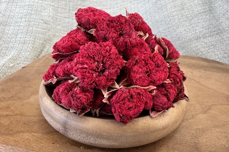 Hibiscus