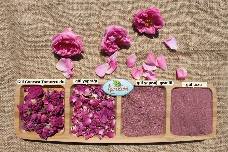 Unde este utilizat trandafirul uscat?