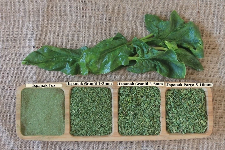 Spinach Powder export-ready packs from Kurucum Food, Isparta
