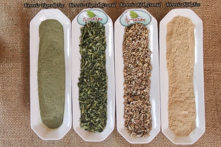 Where is dried celery used?