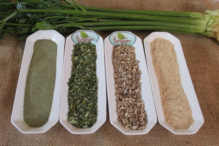 Exportklara förpackningar med torkade selleriblad från Kurucum Food, Isparta